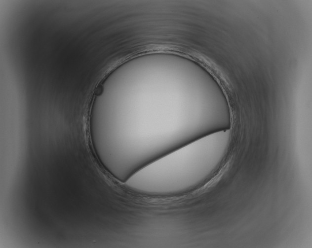 X0000102390985200808010931