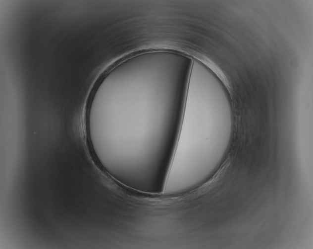 X0000102390988200808010931