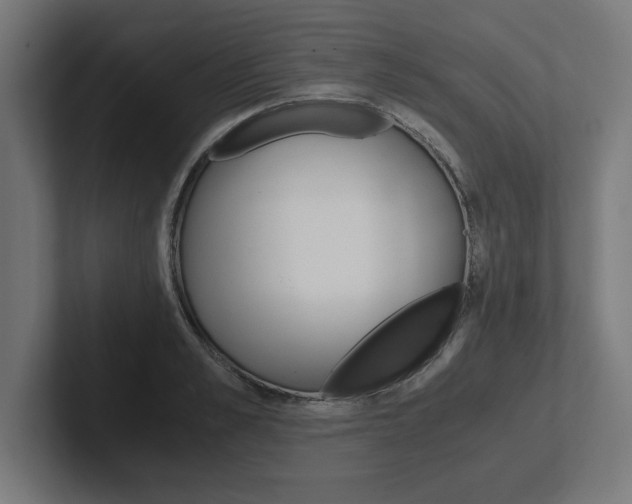 X0000102390989200808010931