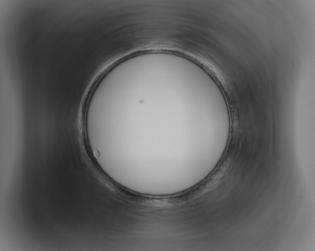 X0000102390990200808010931