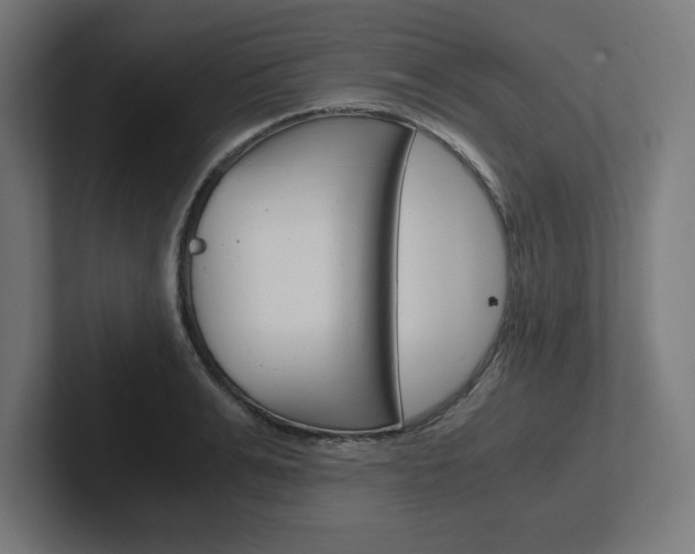 X0000102390991200808010931