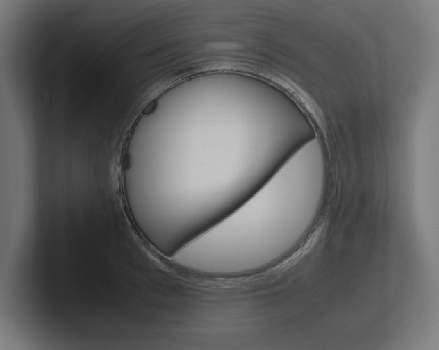 X0000102390993200808010931