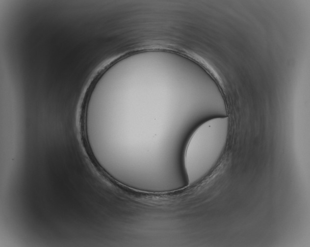 X0000102390995200808010931