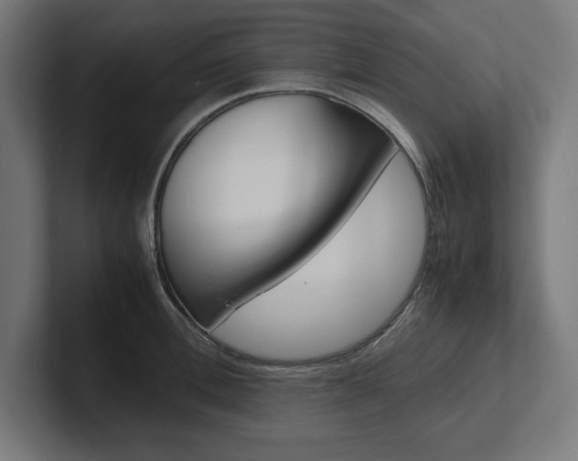 X0000102390996200808010931