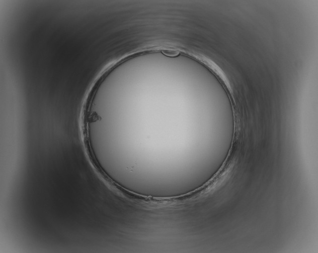 X0000102390997200808010931