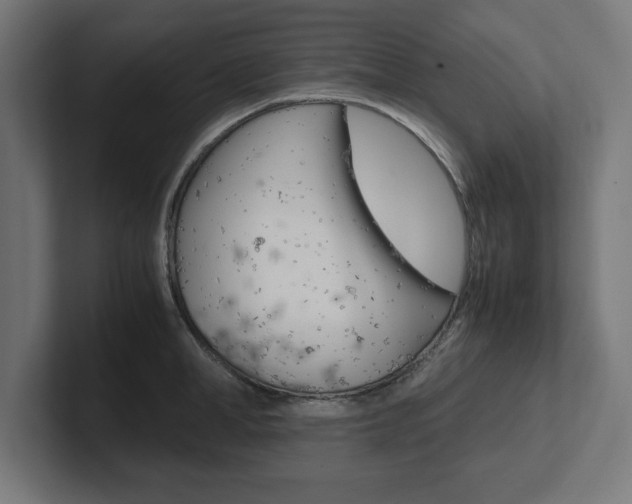 X0000102390998200808010931