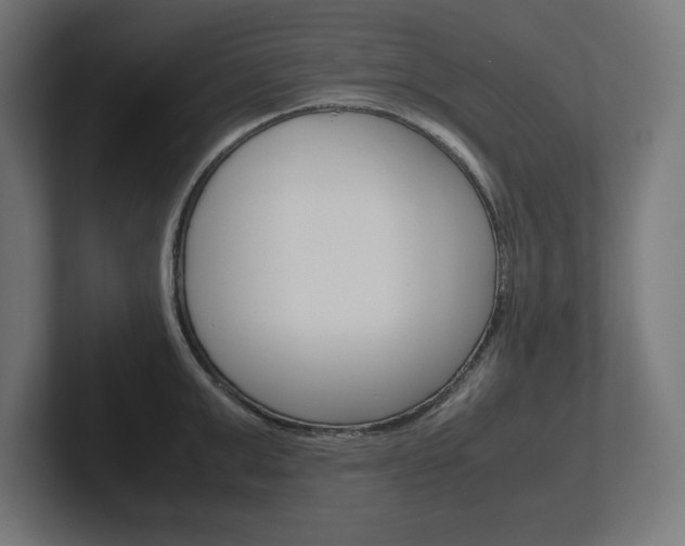X0000102390999200808010931