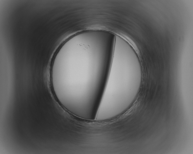 X0000102391000200808010931