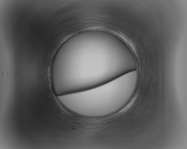 X0000102391001200808010931