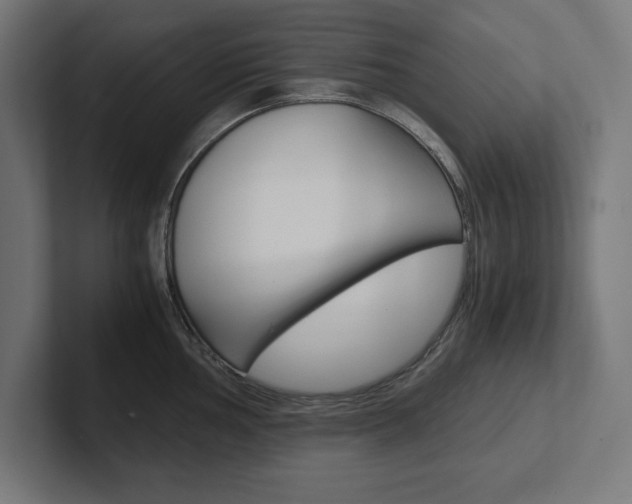 X0000102391002200808010931