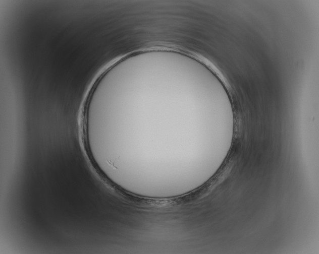 X0000102391003200808010931