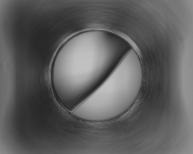 X0000102391004200808010931