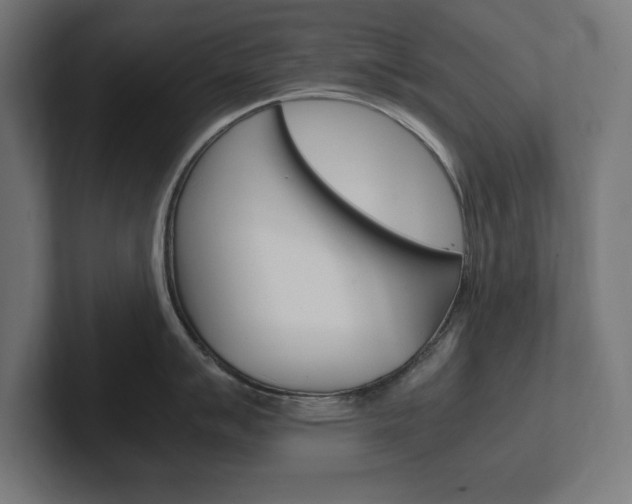 X0000102391007200808010930