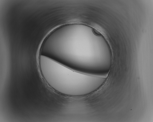 X0000102391008200808010930