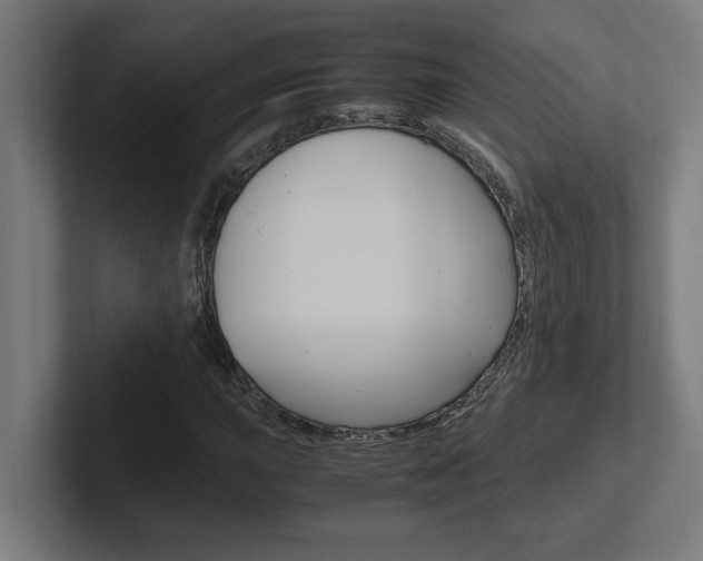X0000102391015200808010930
