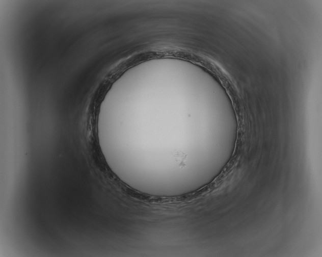 X0000102391016200808010930