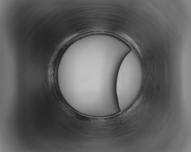 X0000102391019200808010930
