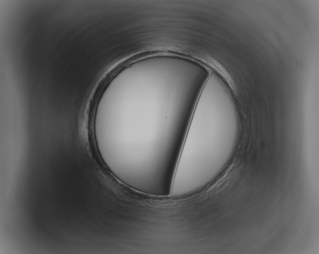 X0000102391020200808010930