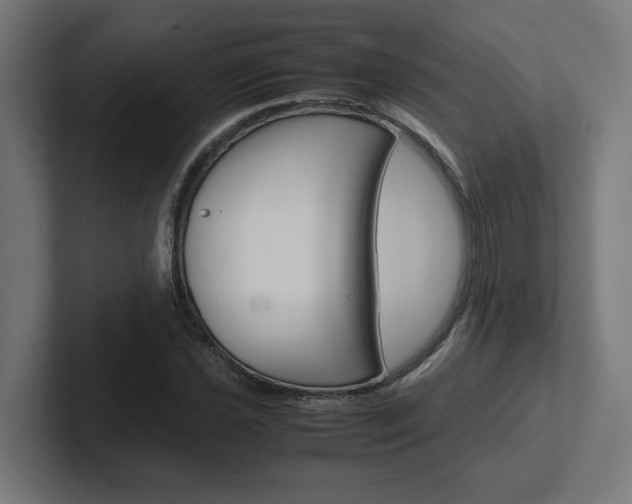 X0000102391021200808010930