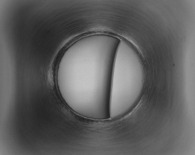 X0000102391022200808010930