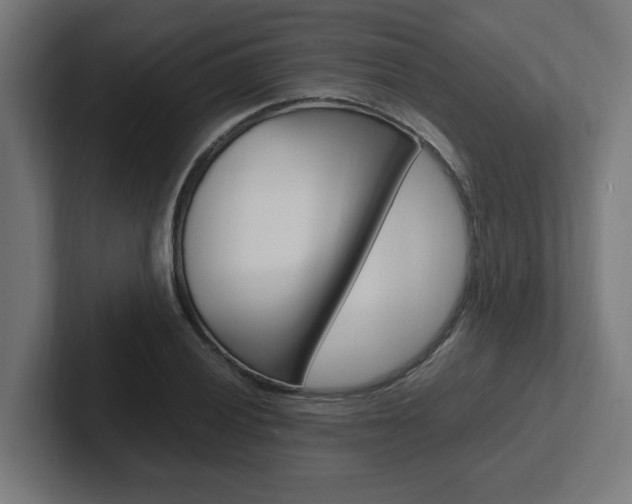 X0000102391028200808010930