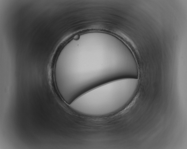 X0000102391029200808010930