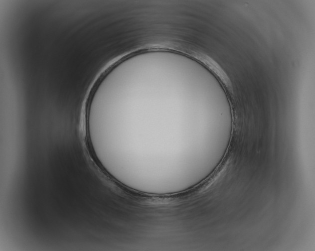 X0000102391036200808010930