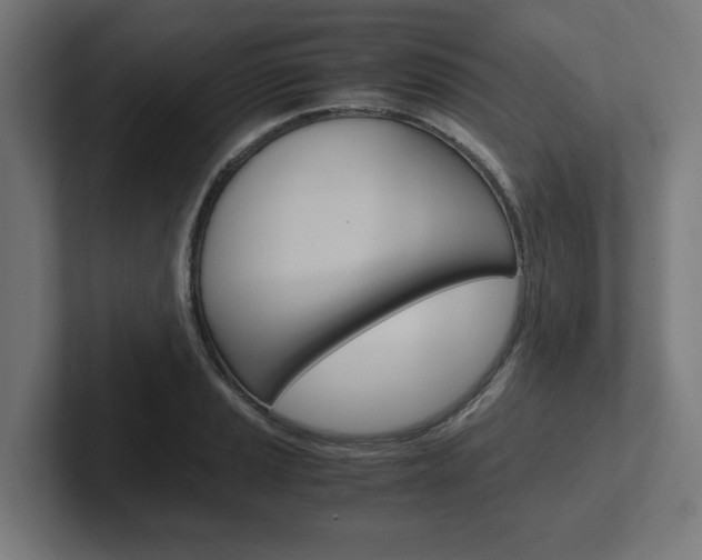 X0000102391037200808010930