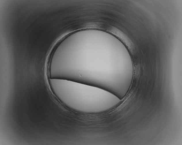 X0000102391043200808010930