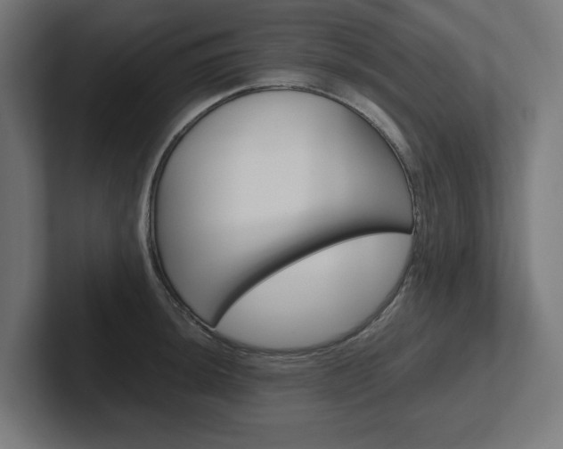 X0000102391044200808010930