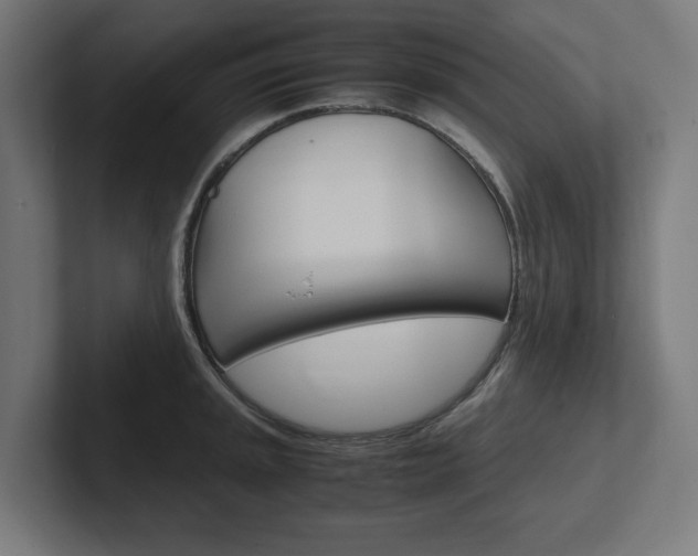 X0000102391045200808010930