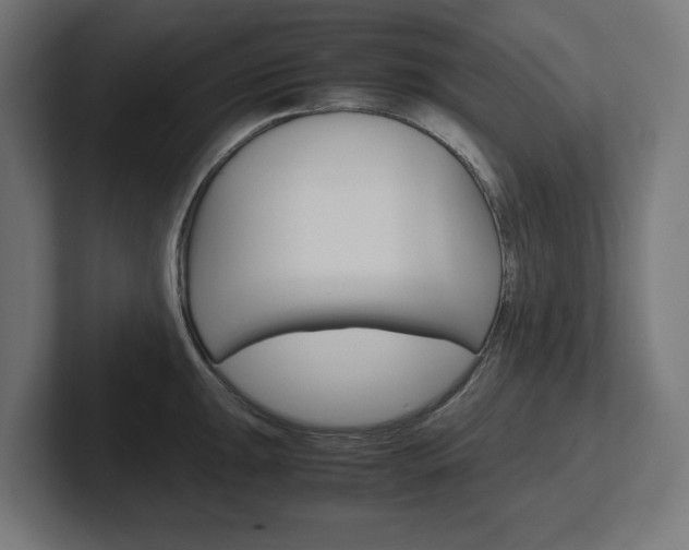 X0000102391047200808010930