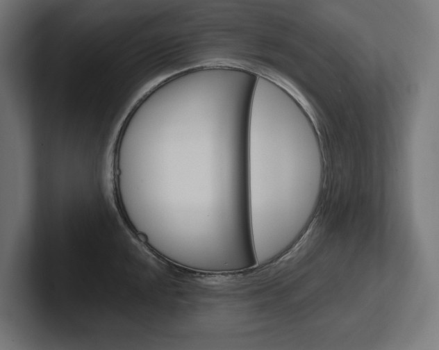 X0000102391048200808010930