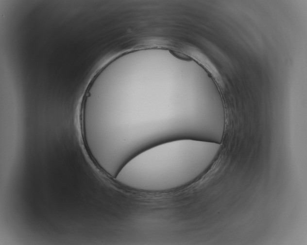 X0000102391055200808010930