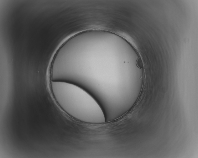 X0000102391056200808010930