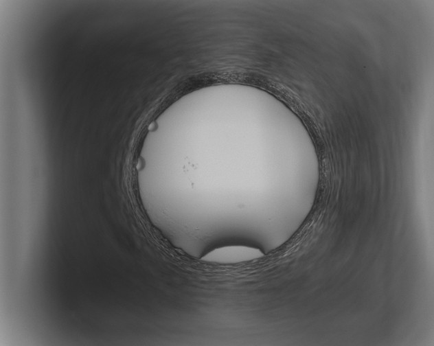 X0000102391057200808010930