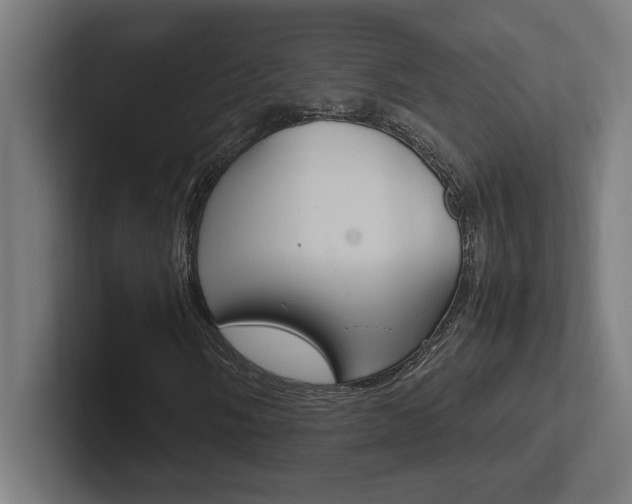 X0000102391058200808010930