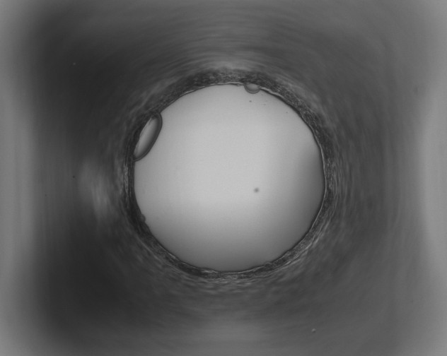 X0000102391061200808010930