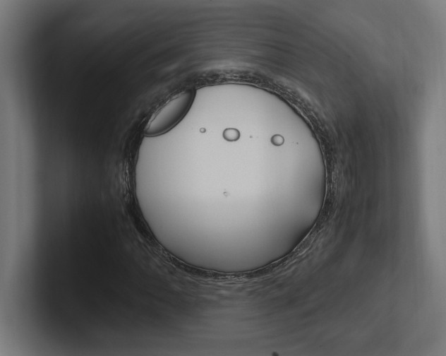 X0000102391062200808010930