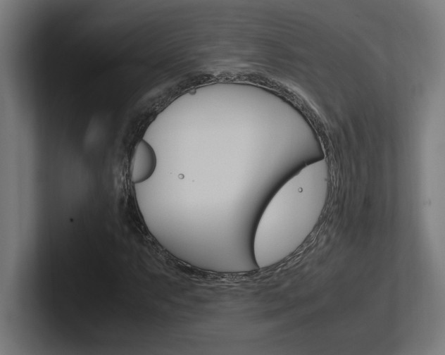 X0000102391063200808010930