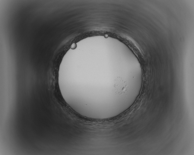 X0000102391064200808010930