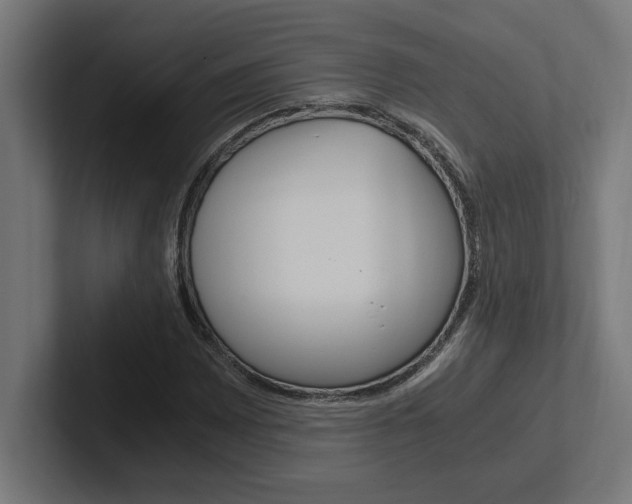 X0000102391065200808010930