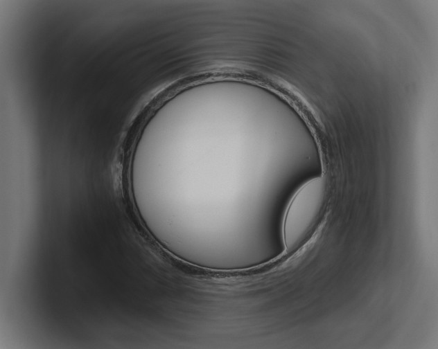 X0000102391066200808010930