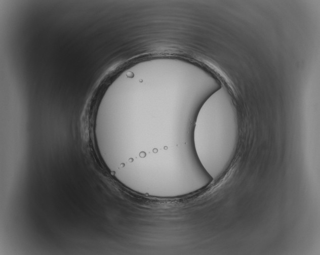 X0000102391067200808010930