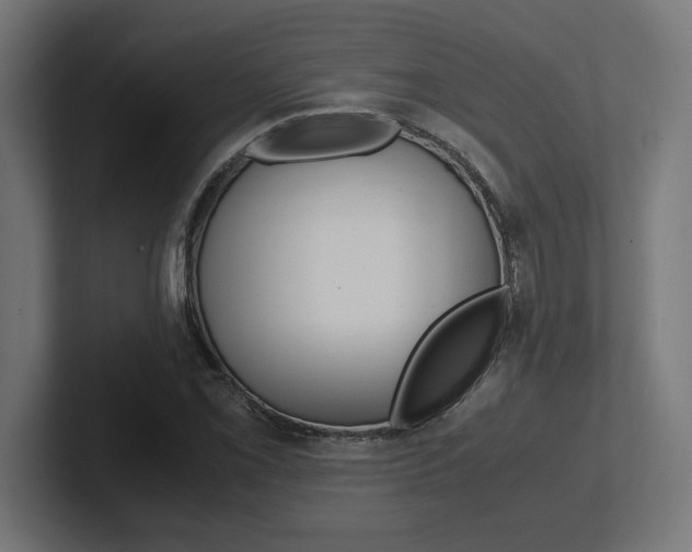 X0000102391069200808010930