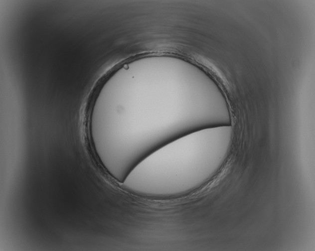 X0000102391071200808010930