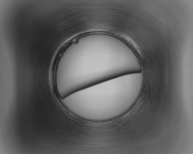 X0000102391072200808010930