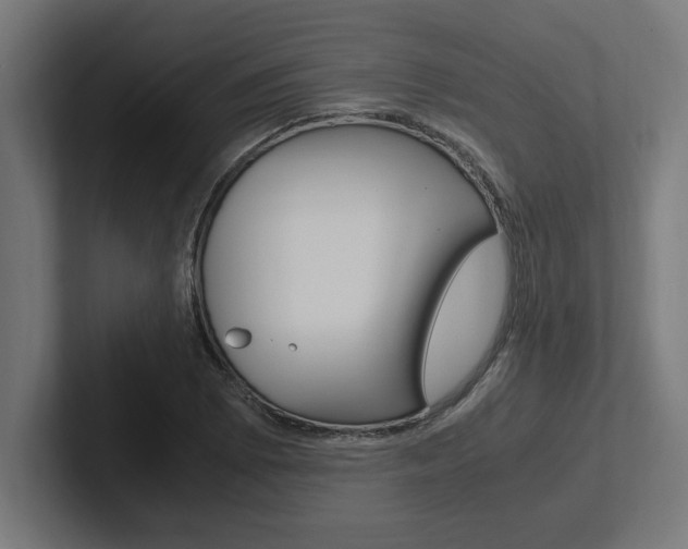 X0000102391073200808010930