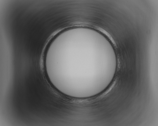 X0000102391074200808010930