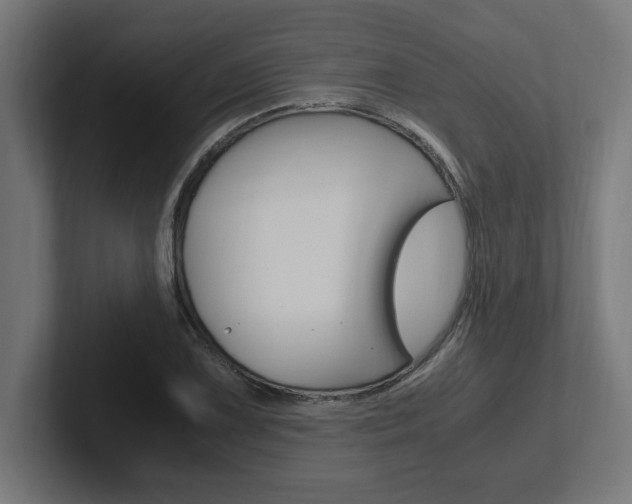 X0000102391075200808010930